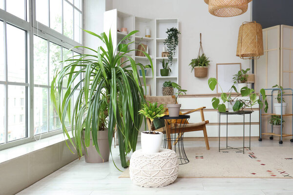 Интерьер гостиной с комнатными растениями, креслом и полкой