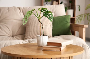 Oturma odasındaki sehpanın üzerinde kitaplar olan bir palmiye ağacı.