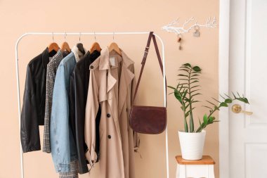 Elbise askısı, ev bitkisi ve anahtar taşıyıcısı bej duvarlı şık bir salon.