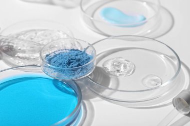 Beyaz arka planda farklı örnekler içeren petri kapları