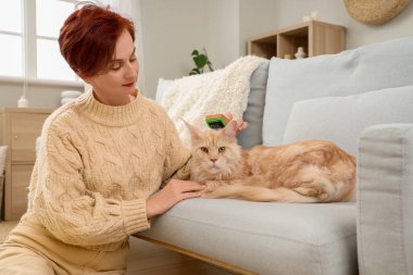 Olgun kızıl saçlı kadın evdeki kanepede sevimli Maine Rakun kedisini fırçalıyor.