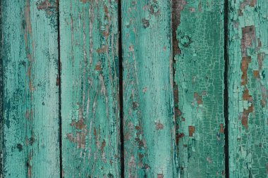 Arka plan olarak eski yeşil boyalı ahşap tahtalar, yakın plan