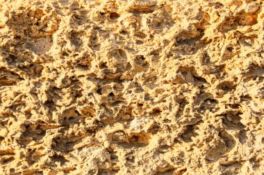 Kabuk kayasının dokusu arkaplan olarak, yakın plan