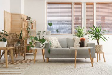 Gri kanepesi, kahve masası ve çiçekleri olan şık bir oturma odası.