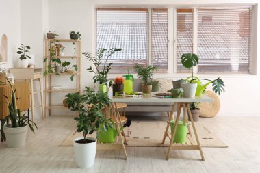 Gri kanepe, bahçe malzemeleri ve ev bitkileriyle şık bir oturma odası.