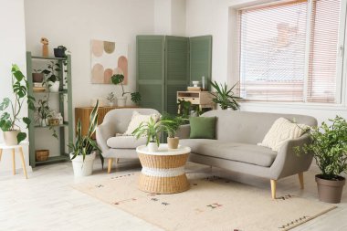 Gri kanepesi, koltuğu ve çiçekleri olan şık bir oturma odası.