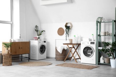 Modern çamaşır makineleri, ev bitkileri ve deterjan şişeleriyle şık bir çamaşır odası.