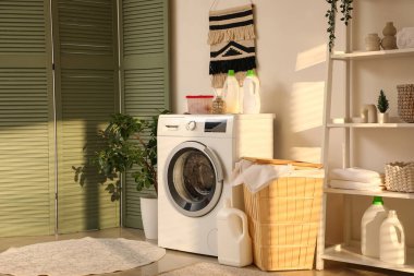 Modern çamaşır makinesi, ev bitkisi ve deterjan şişeleriyle şık bir çamaşır odası.