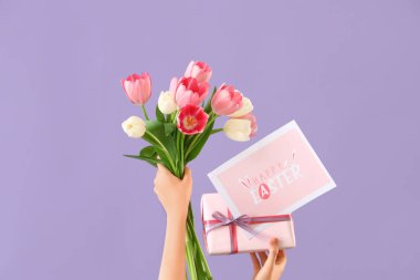 Paskalya hediyesi, kart ve eflatun arkaplanda laleleri olan kadın elleri.