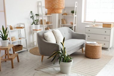 Konforlu kanepe, içinde dergiler olan sepet, çekmece sandığı ve oturma odasının içindeki raf üniteleri.