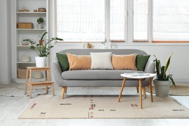 Konforlu kanepe, sehpa ve oturma odasının içindeki raf ünitesi.