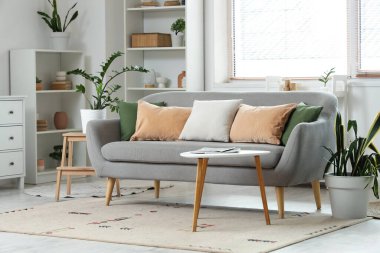 Konforlu kanepe, sehpa ve oturma odasının içindeki raf ünitesi.