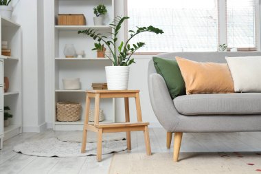 Konforlu kanepe, ev bitkisi ve oturma odasının iç tarafındaki raf üniteleri.