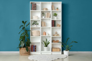 Kitaplı, dekorlu ve mavi duvarlı raflar.