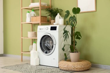 Çamaşır odasındaki yeşil duvarın yanında raf ünitesi, ev bitkileri ve deterjanları olan modern çamaşır makinesi.