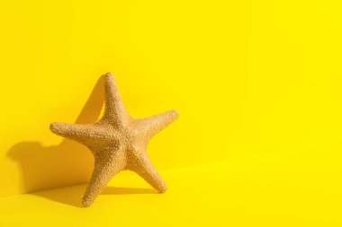Sarı arka planda güzel denizyıldızı