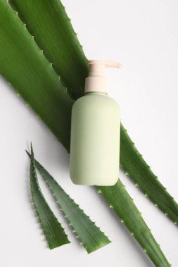 Beyaz arka planda aloe vera yapraklı bir şişe kozmetik ürünü.