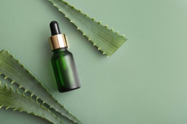 Yeşil arka planda aloe vera yapraklı bir şişe kozmetik yağı.