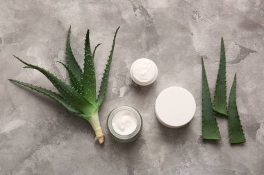 Gri arka planda aloe vera yapraklı kozmetik kremi kavanozları.
