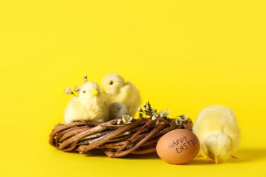 Yavru tavukları, güzel çiçekleri ve sarı arka planda Paskalya yumurtası olan bir yuva.