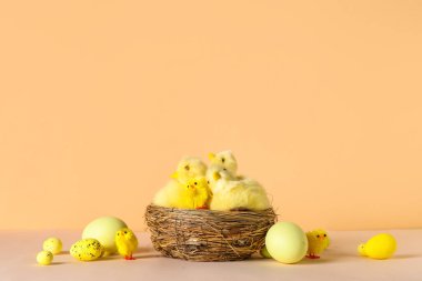 Yavru tavukların yuvası ve bej arka planda Paskalya yumurtaları