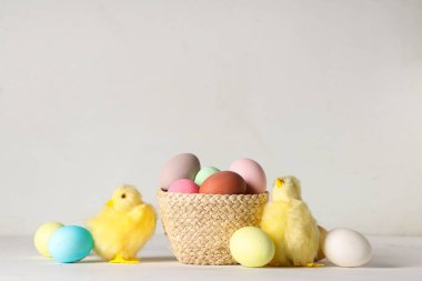 Hasır kase boyalı Paskalya yumurtaları ve beyaz arka planda yavru tavuklar.