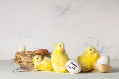 Beyaz arka planda Paskalya yumurtaları, tüyleri ve yavru tavukları olan yuvalar