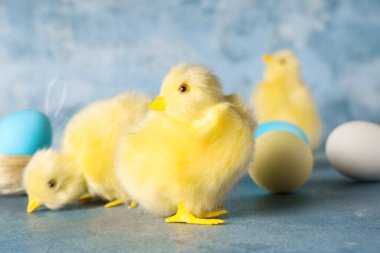 Mavi arka planda Paskalya yumurtaları ve yavru tavuklar