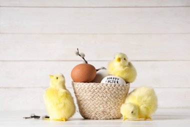 Wicker basket with Easter eggs, pussy willow branches and baby chickens on white wooden background