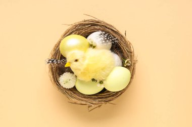 Paskalya yumurtalı yuva, bebek tavuk ve bej arka planda güzel çiçekler.