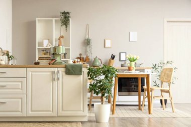 Beyaz tezgahlı, ev bitkisi ve farklı çatal bıçakları olan şık bir mutfak.