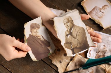 Ahşap arka planda akrabalarının eski fotoğrafları olan kadın elleri. Aile ağacı kavramı