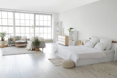 Kanepeleri, yatağı ve raf üniteleri olan modern stüdyo dairesi.