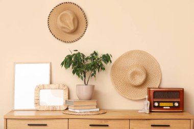 Çerçeveli çekmeceler, bitki, retro radyo alıcısı ve bej duvarlı şapkalar.