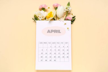 Nisan 'ın kağıt takvimi ve renk arkaplanındaki güzel bahar çiçekleriyle kompozisyon