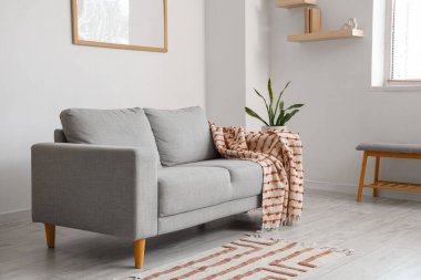 Aydınlık oturma odasında ekoseli gri kanepe.