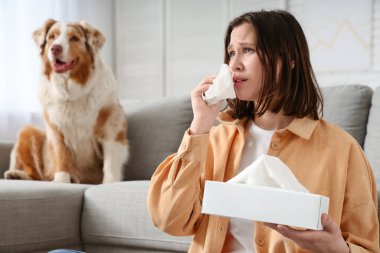 Evde hapşıran genç kadın ve köpek. Kürk alerjisi.