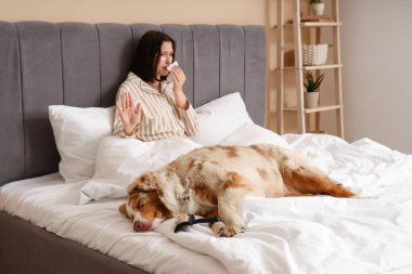 Yatak odasında kürke alerjisi olan köpek ve genç bir kadın.