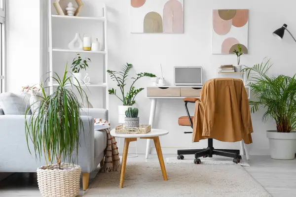 Çalışma yeri, kanepesi ve bitkileri olan bir ofis.