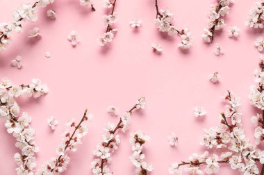 Güzel çiçek açan ağaç dallarından yapılmış çerçeve ve pembe arka planda çiçekler