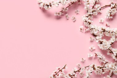 Pembe arka planda güzel çiçek açan ağaç dalları