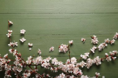 Yeşil ahşap arka planda güzel açan dallar