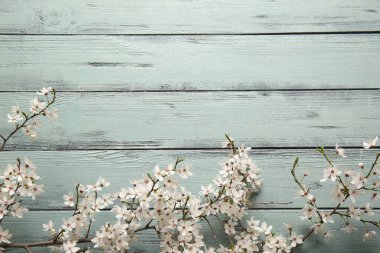 Turkuaz ahşap arka planda güzel ağaç dalları