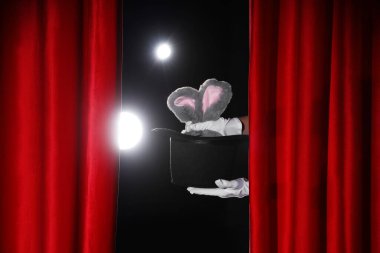 Sihirbazın elleri, arka planda kırmızı perdelerin arkasındaki şapkadan tavşan kulakları alıyor.