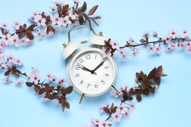 Alarm saati ve mavi arka planda çiçek açan dallar. Bahar geldi.