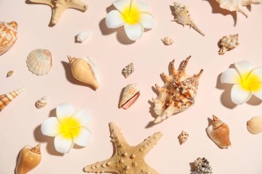 Pembe arka planda birçok deniz kabuğu ve çiçek var.
