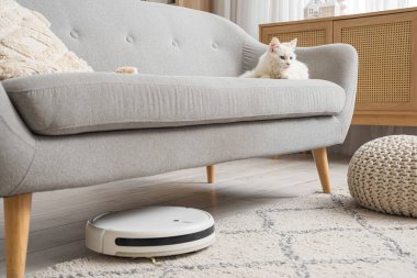 Evdeki kanepede robot elektrikli süpürgeyle yatan sevimli beyaz kedi.