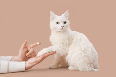 Kremalı kadın elleri bej arka planda kedi patisi tutuyor.