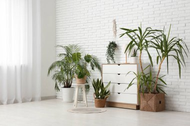 Beyaz tuğla duvarın yanında çekmeceleri ve bitkileri olan bir oda.
