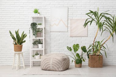 Beyaz tuğla duvarın yanında pouf, raf ve bitkilerle dolu bir oda.